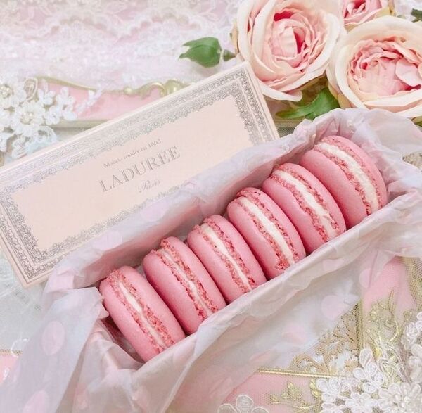 Au Gourmet địa chỉ bán macaron chính hãng