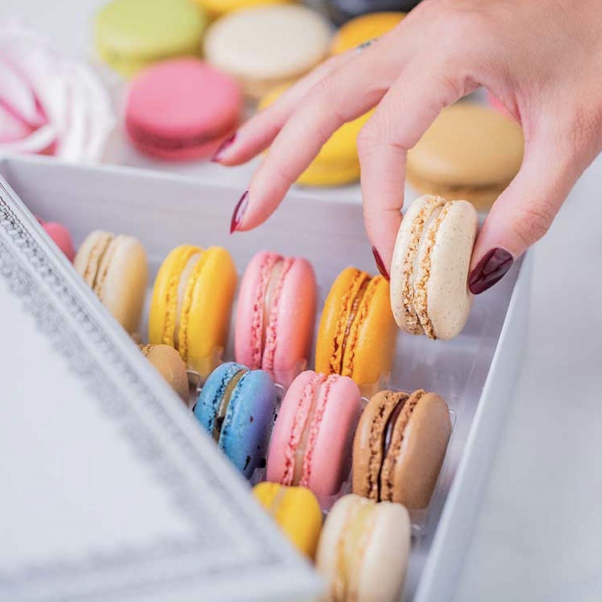 Bánh Macaron nhập khẩu