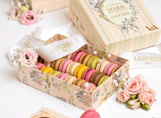 Bánh macaron Pháp biểu tượng quà tặng thanh lịch