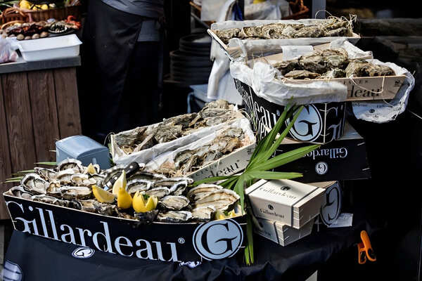 Biểu tượng thương hiệu Hàu Gillardeau