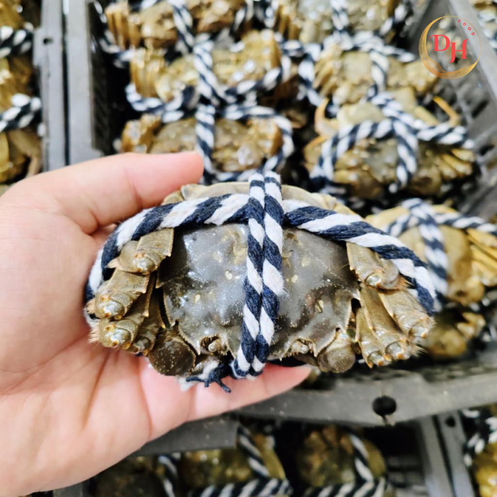Cua lông hồ dương trừng