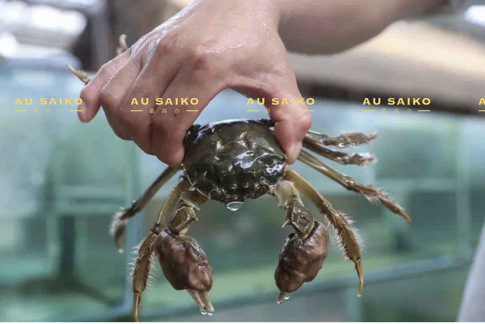 Cua lông nhập khẩu