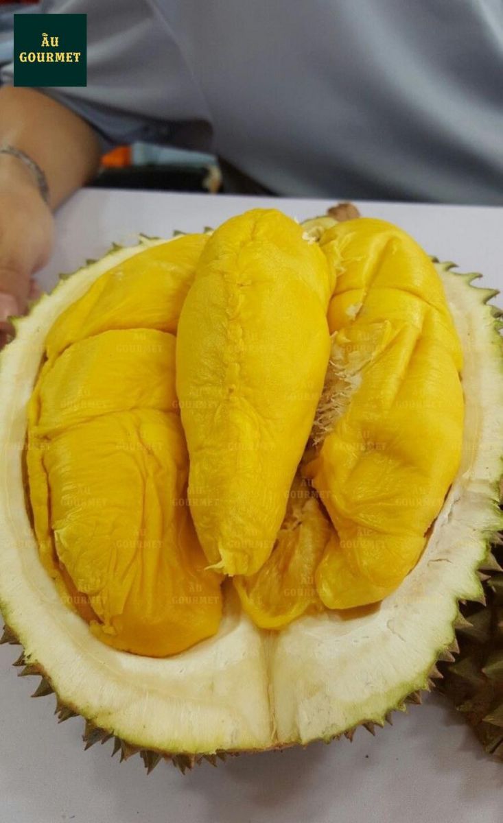 Đặc điểm của sầu riêng Musang King