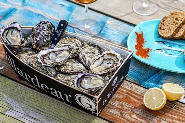 Hành trình nuôi dưỡng hàu Gillardeau