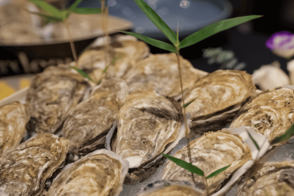 Hàu Gillardeau bữa tiệc đặc biệt sang trọng