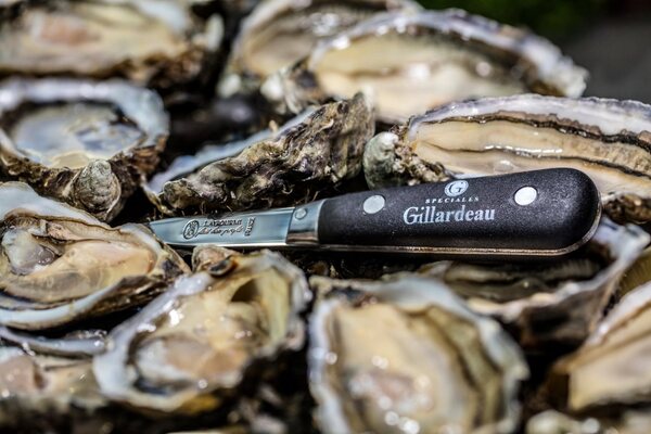 Hàu Gillardeau khắc chữ G danh giá