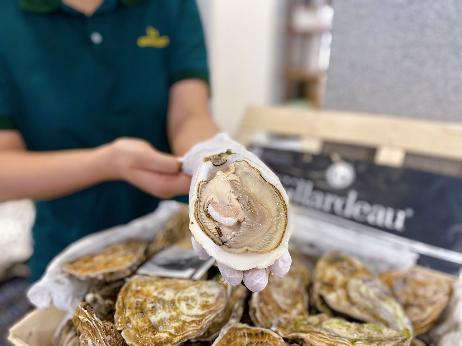 Hàu Gillardeau tươi ngon Au Gourmet
