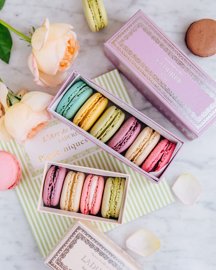 Macaron nhập khẩu