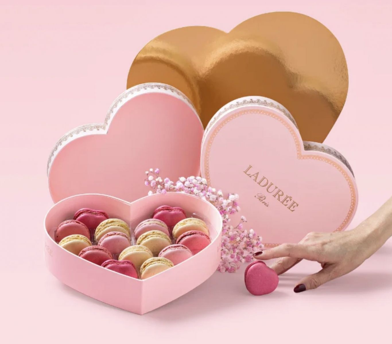 Macaron nhập khẩu mua tại Hà Nội