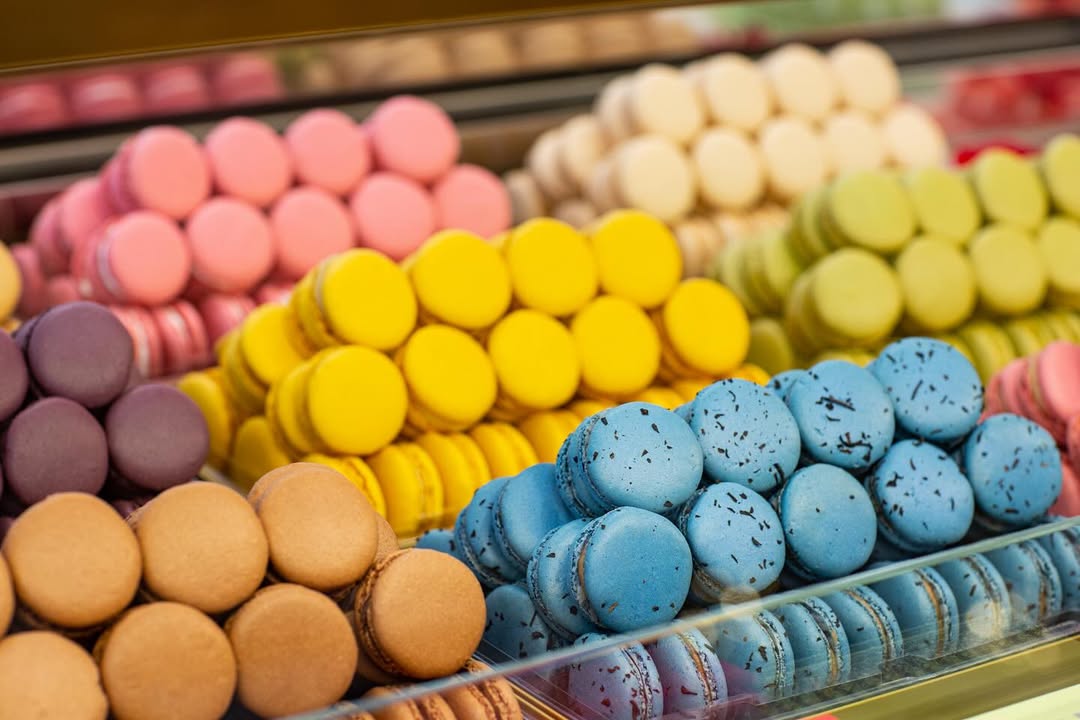 Macaron Pháp mua ở đâu?