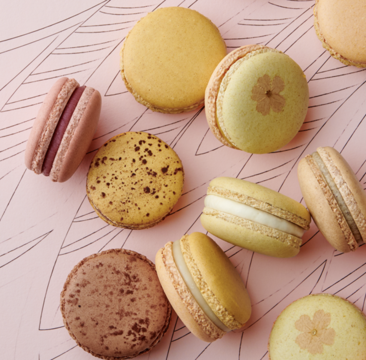 Macaron Pháp valentine