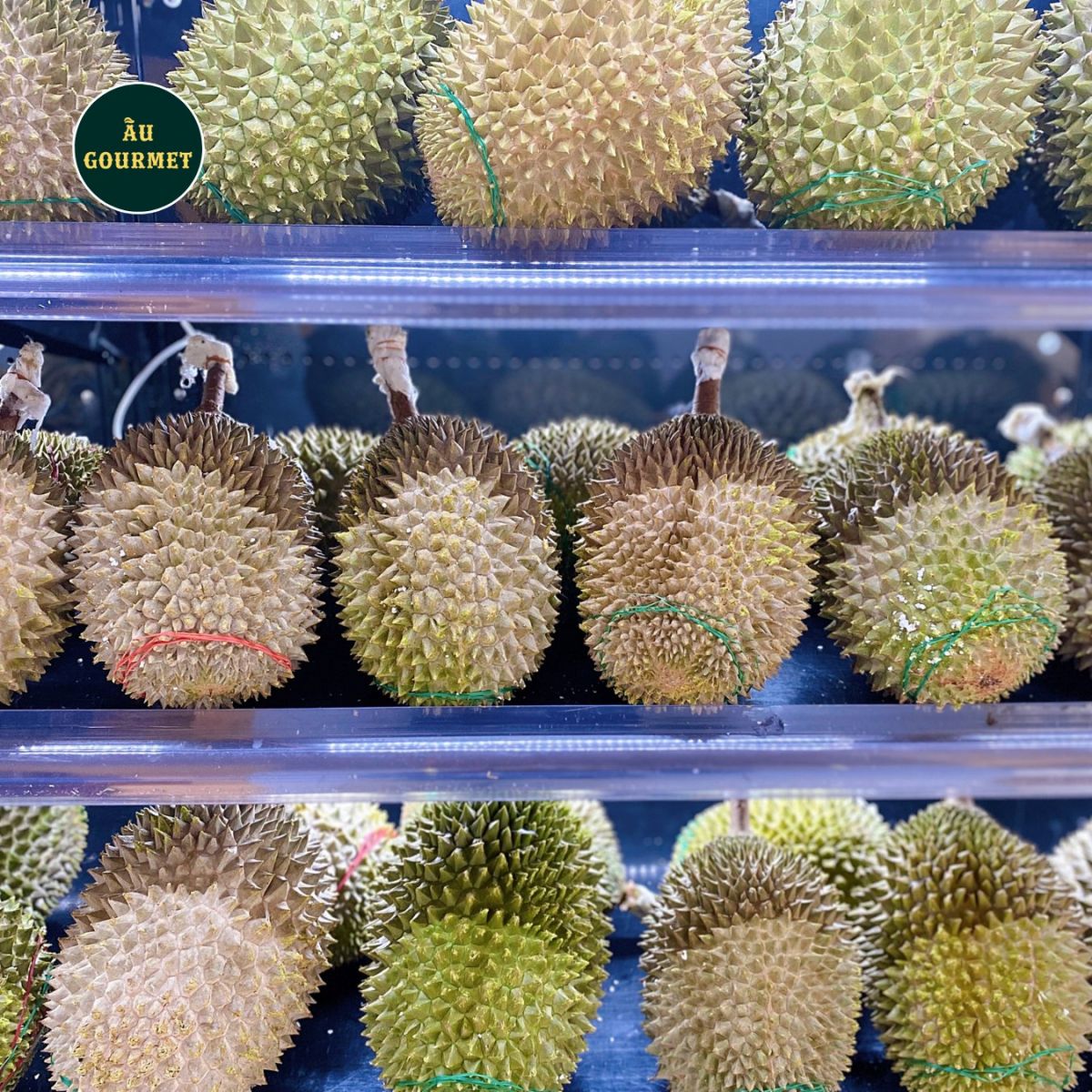 Nguồn gốc sầu riêng Musang King