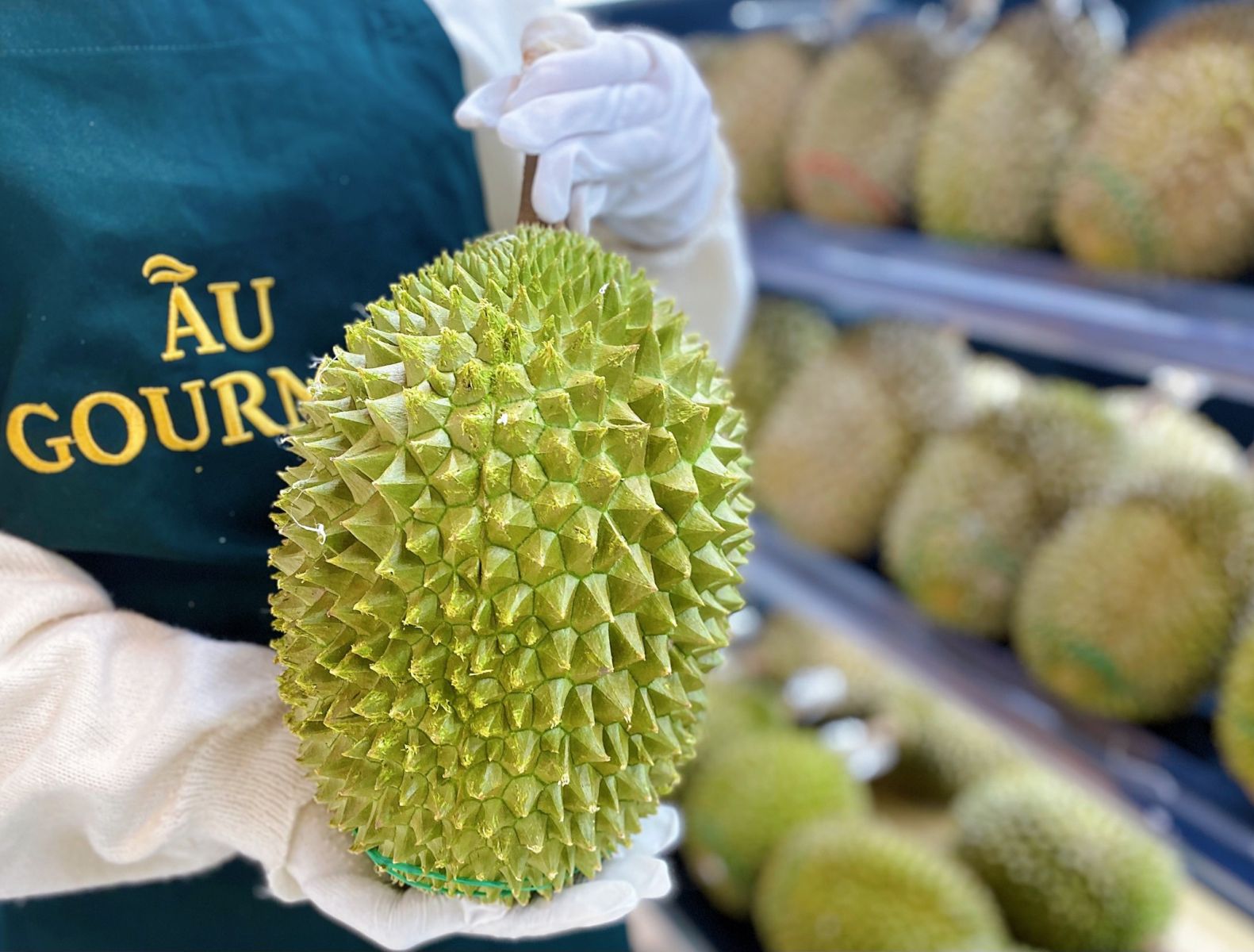 Sầu riêng Malaysia