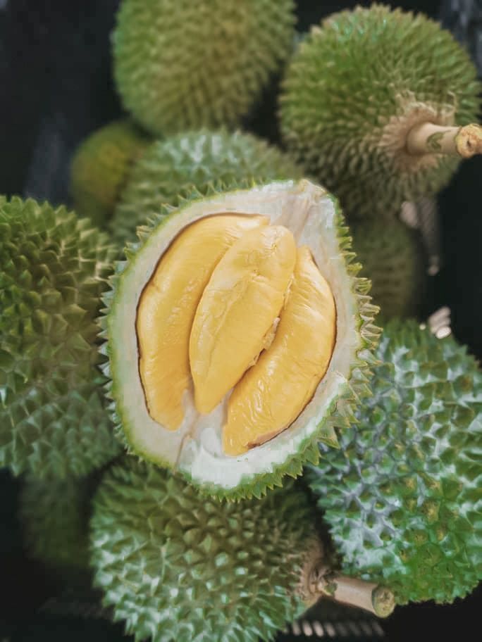 Sầu riêng riêng Musang King