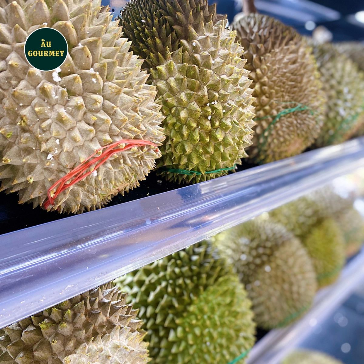 Sầu riêng Musang Kinh chính hãng