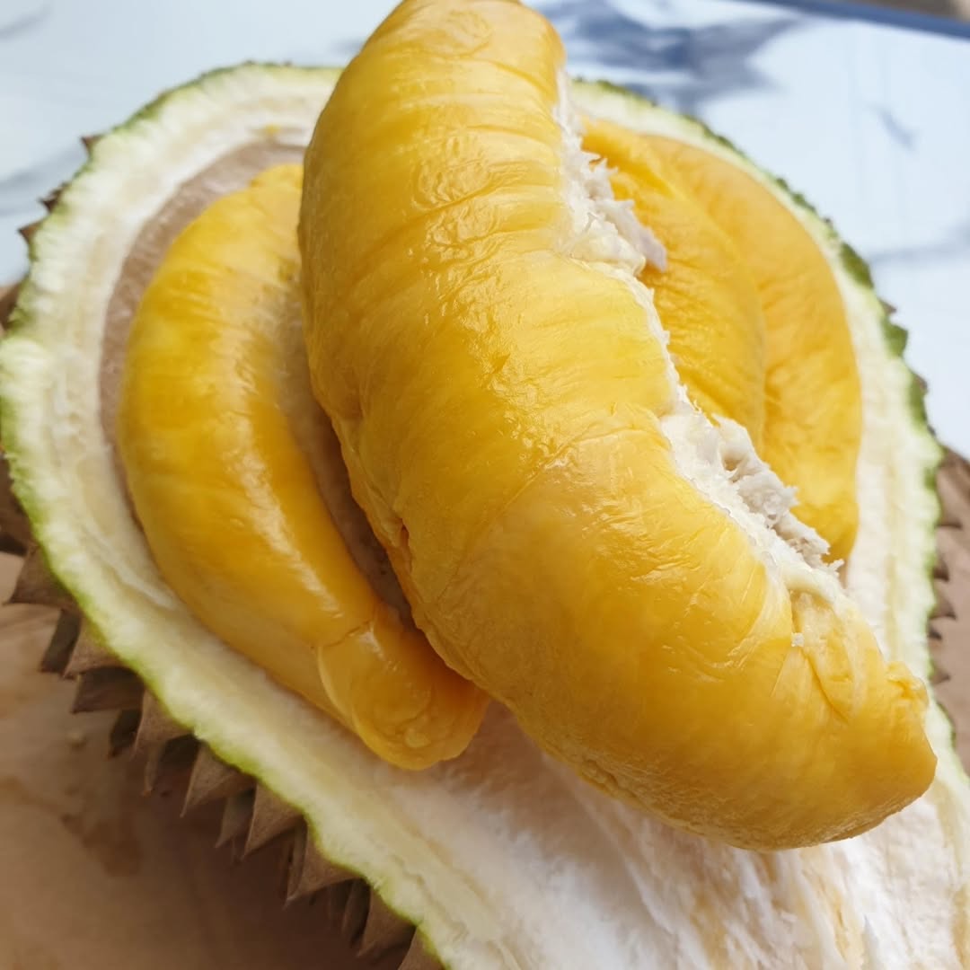 Sầu riêng Musang King cơm vàng hạt lép