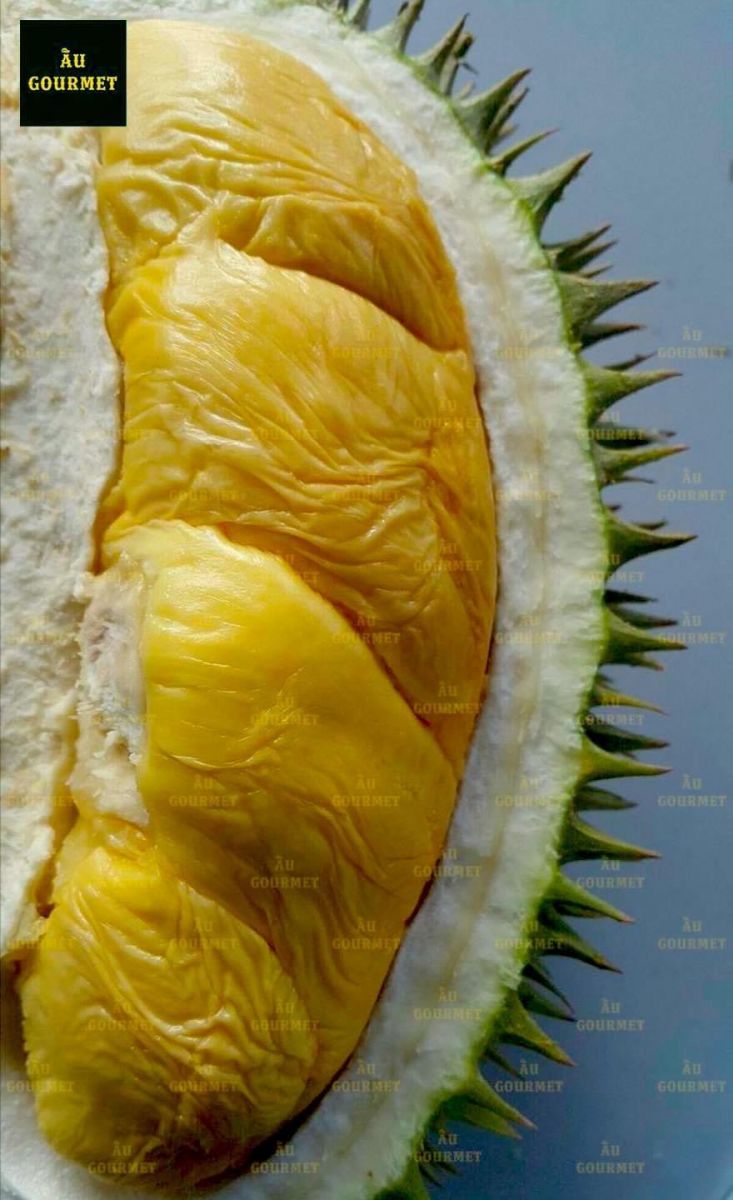 Sầu riêng Musang King hạt lép