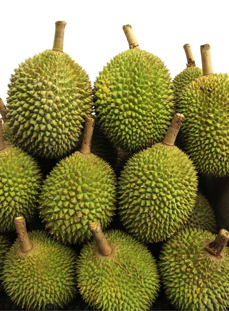 Sầu riêng Musang King mua tại Hà Nội