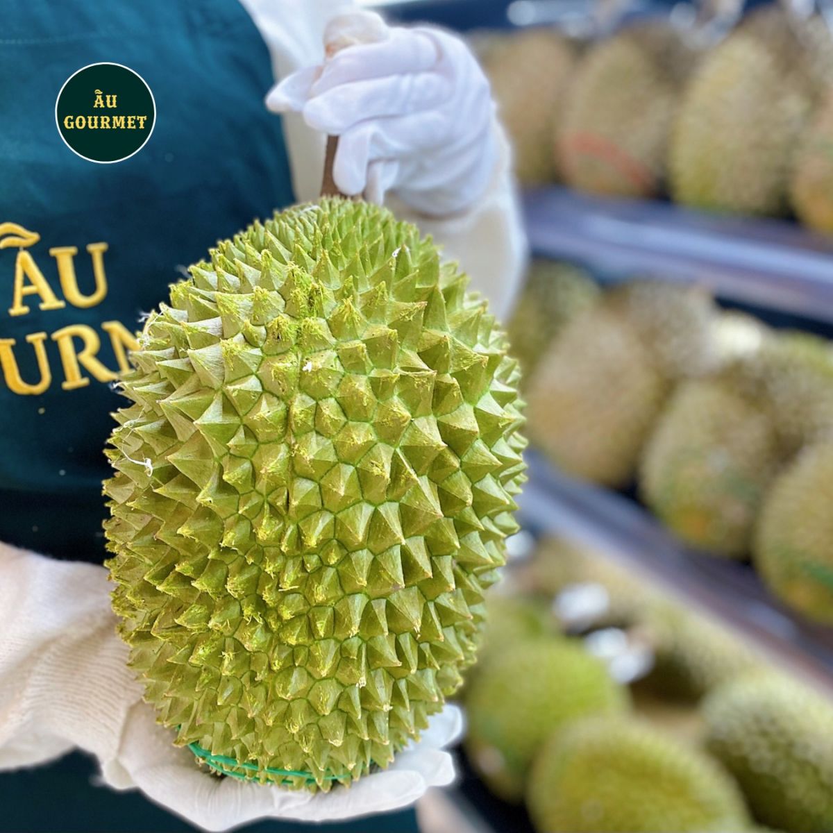 Sầu riêng Musang King nguyên trái