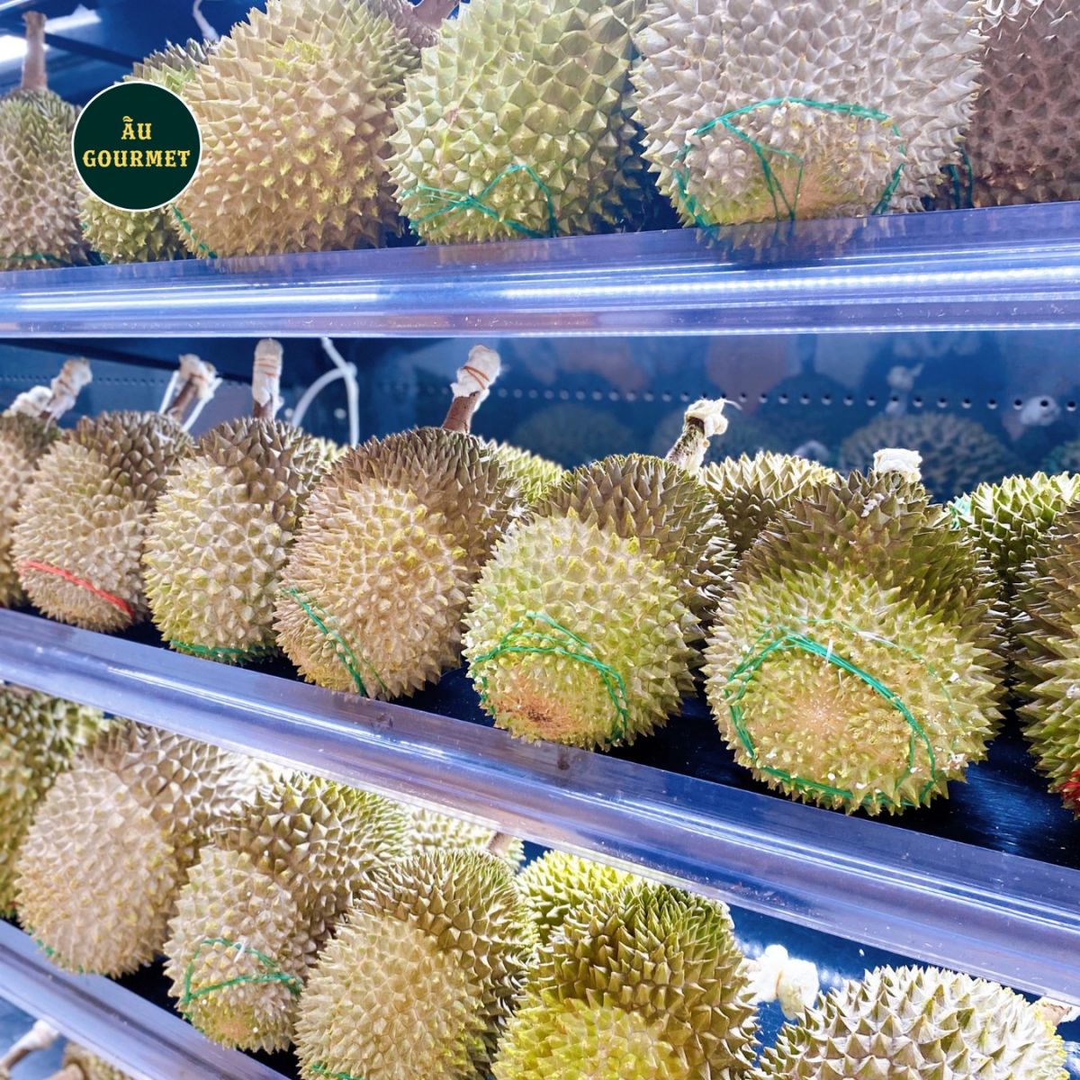 Sầu riêng Musang King nhập khẩu
