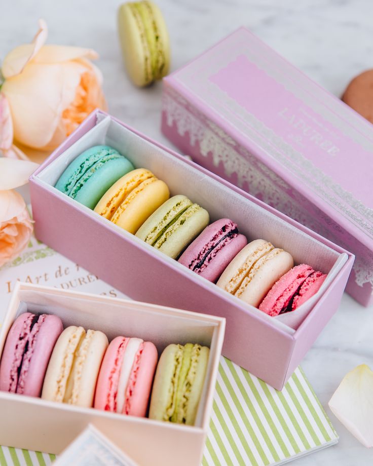 So sánh bánh macaron Pháp và macaron thường