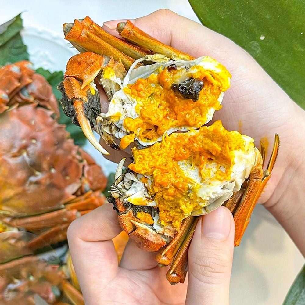 Thưởng thức cua lông đúng điệu