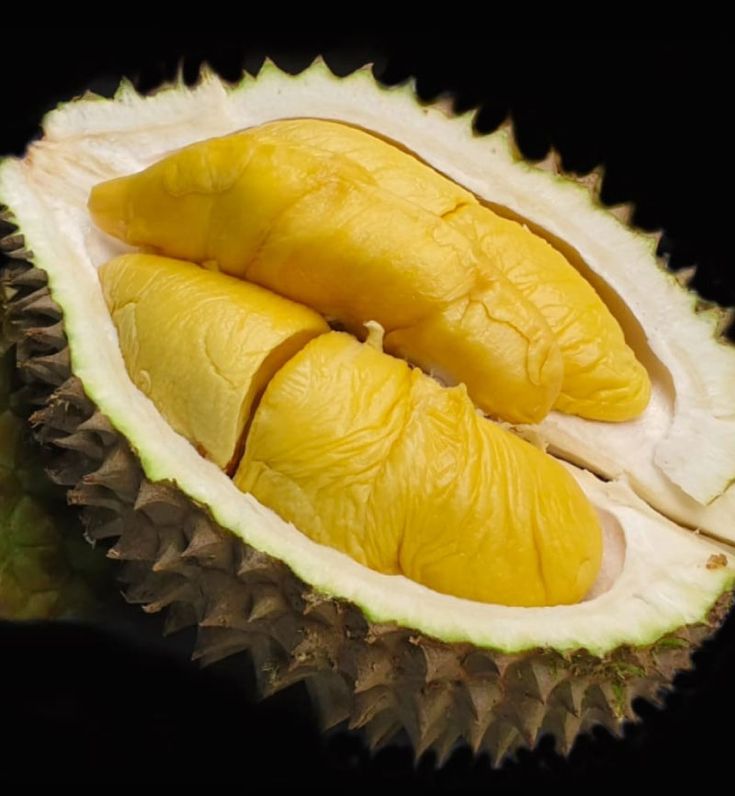 Sầu riêng Musang King là gì? Vì sao được mệnh danh là “vua của các loại sầu riêng”?