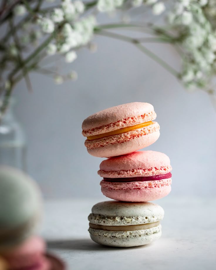 Macaron Nhập Khẩu – Tinh Hoa Bánh Ngọt Pháp Đẳng Cấp