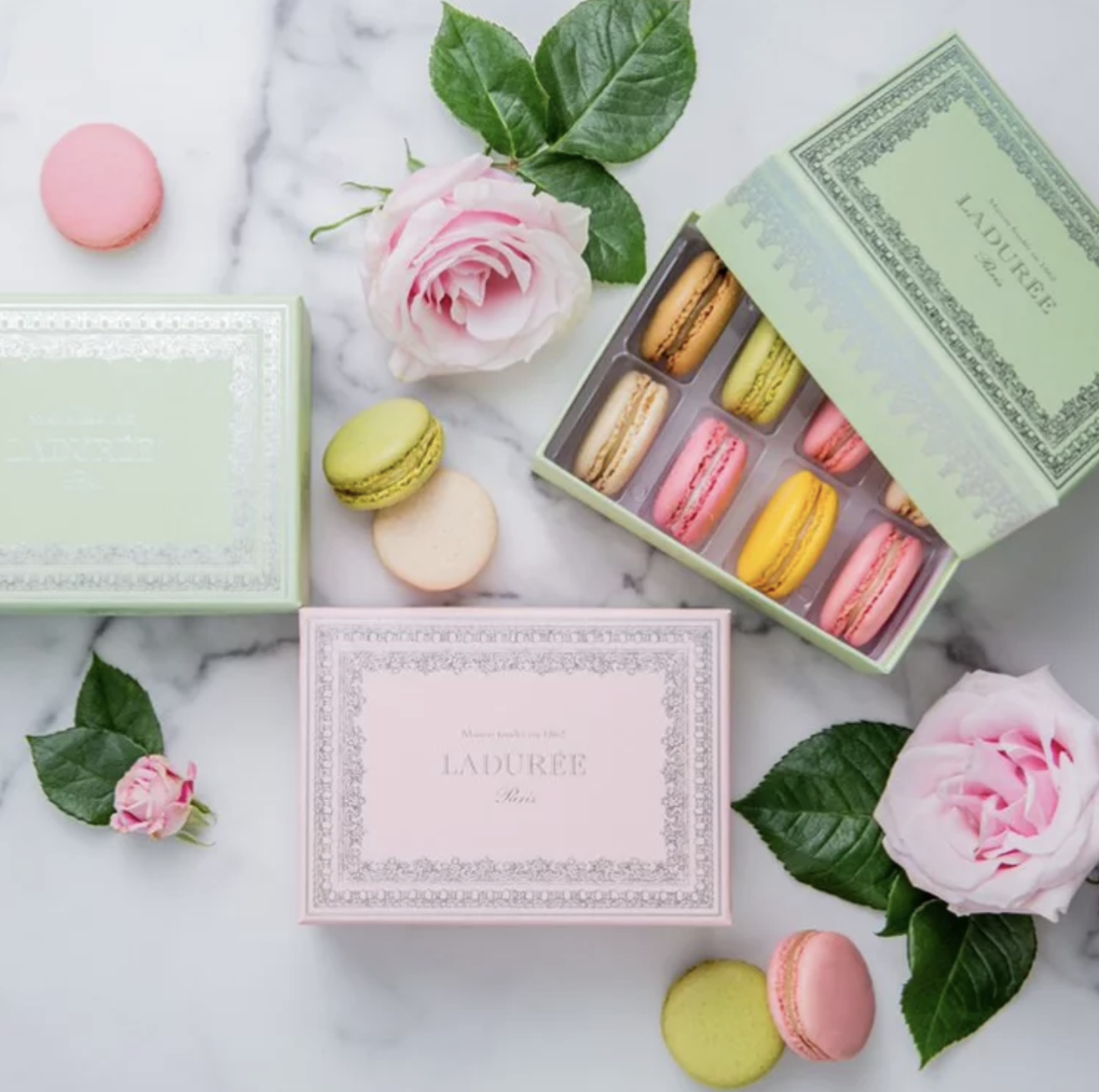 Macaron Laduree - Biểu tượng tinh hoa ẩm thực Pháp