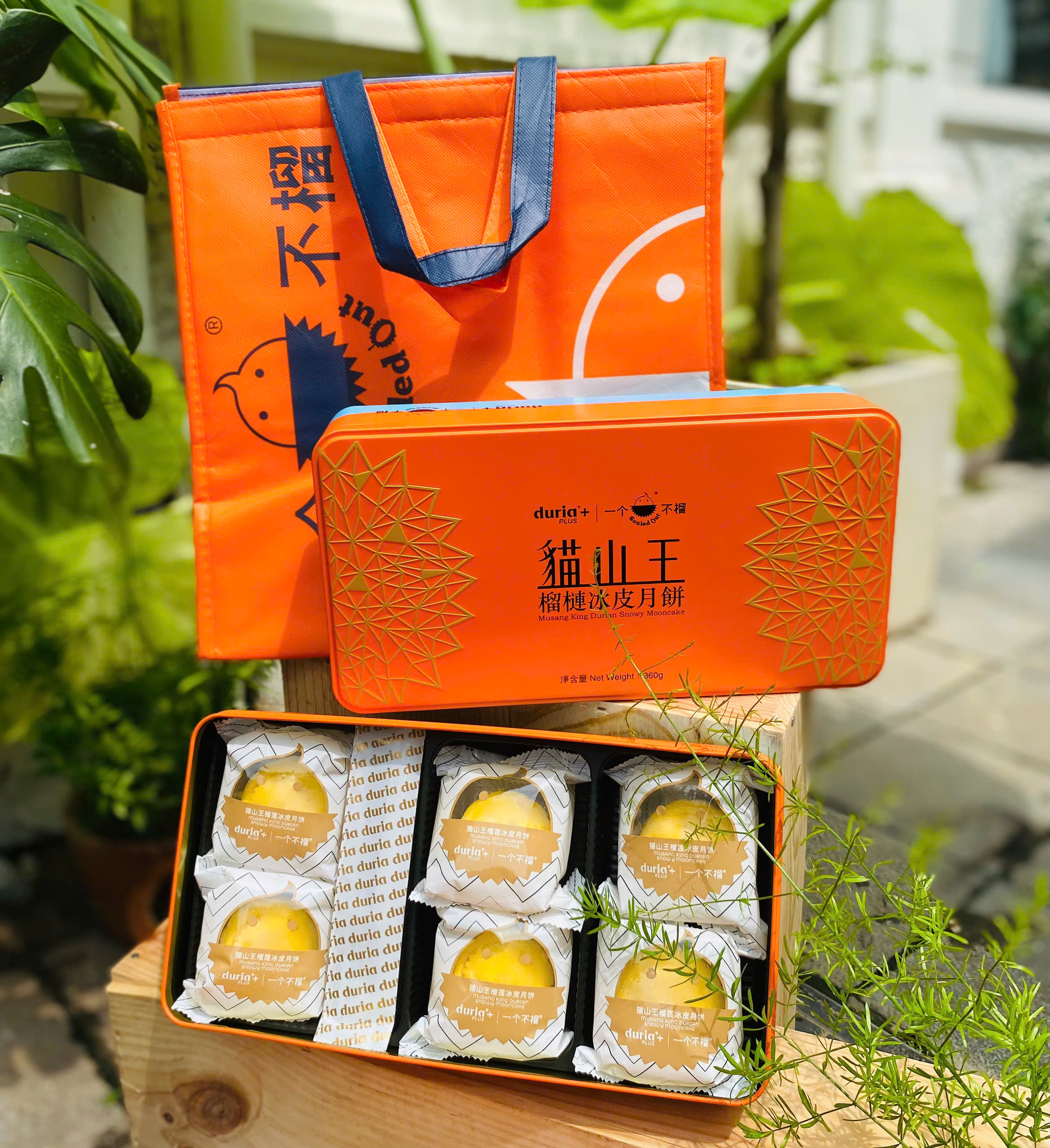 Bánh sầu riêng Musang King – Quà Tết xa xỉ cho tín đồ sầu