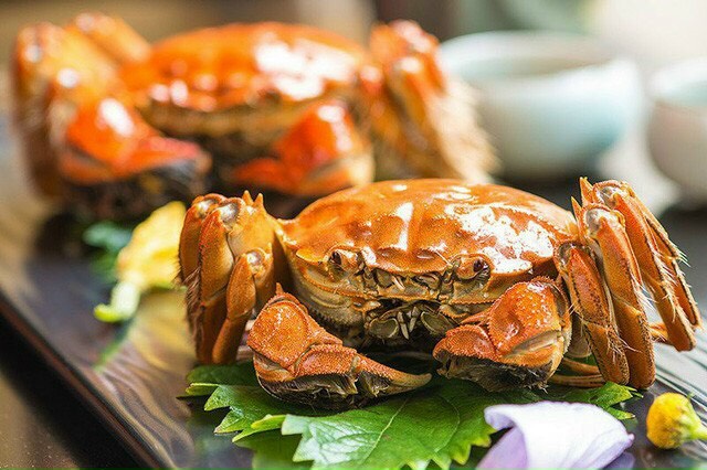 Cua lông Thượng Hải Báu vật mùa thu mà giới sành ăn không thể bỏ lỡ