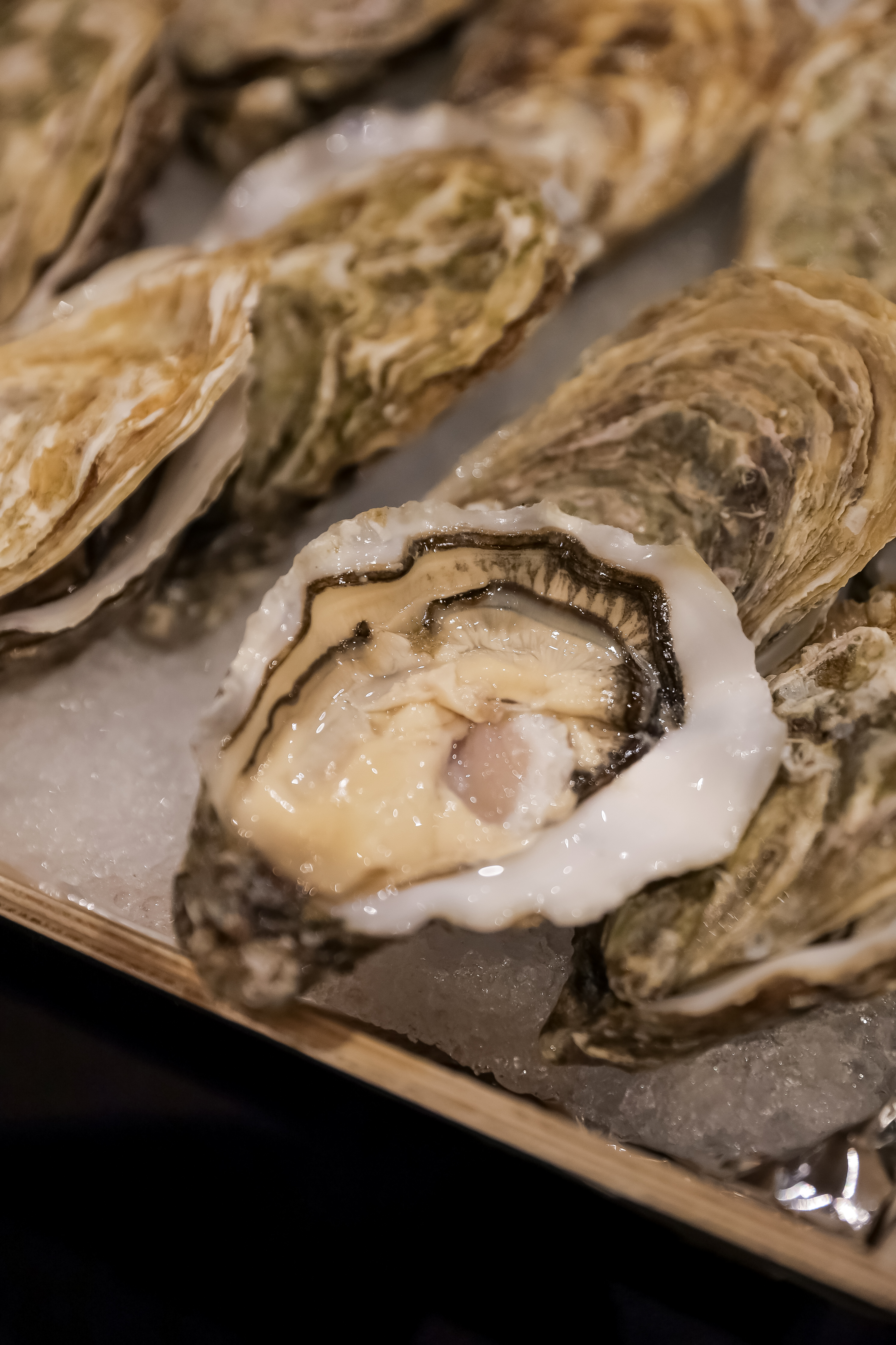 Hàu Pháp nhập khẩu Gillardeau có gì khác biệt?