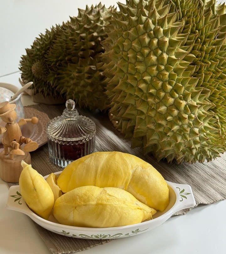 Sầu riêng Musang King chính gốc: Làm sao để phân biệt thật – giả?
