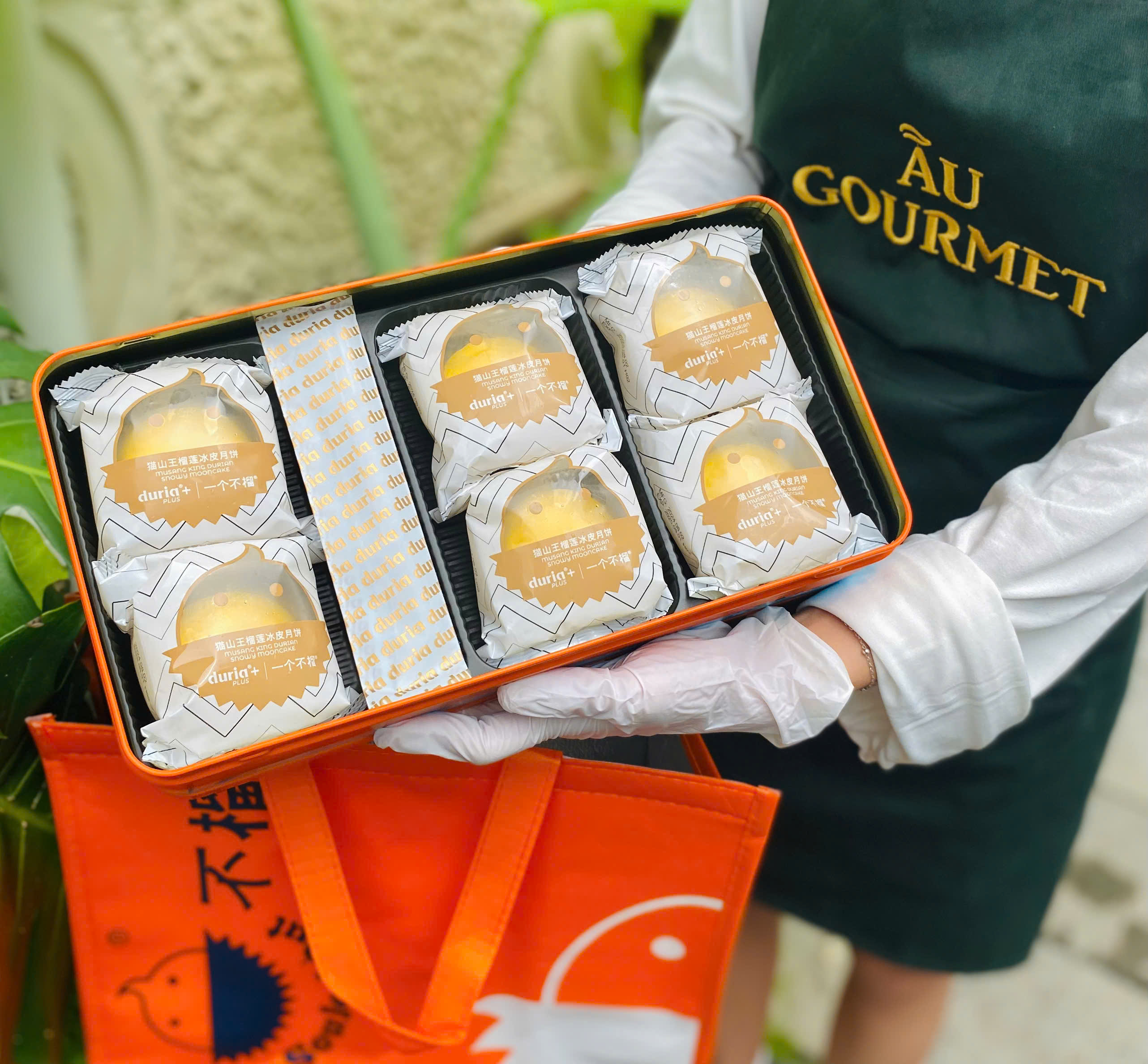 Bánh sầu riêng Musang King mua ở đâu? Gợi ý địa chỉ uy tín chuẩn chính hãng