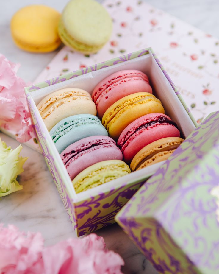 Cách bảo quản bánh macaron đúng cách để giữ trọn hương vị Pháp
