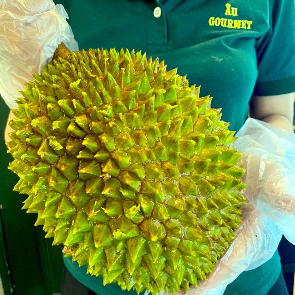 Musang King - Vua của mọi loại sầu riêng